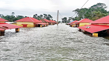 flood.jpg