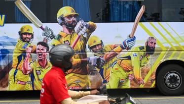 ipl.jpg