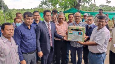 brahmanbaria_pineapples_gift.jpg