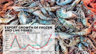 fish-exports.jpg