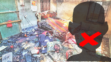 narail mayhem