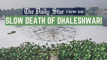 dhaleshwari.png