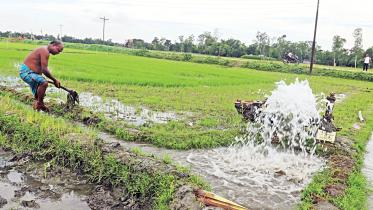 agricultural-land-1.jpg