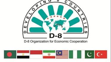 d-8.jpg