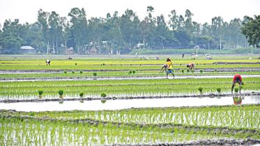 sherpur-upazila.jpg