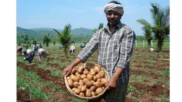 potato-growers-cut.jpg