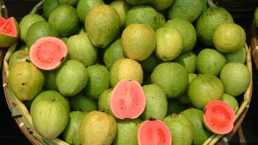 How to make the most of guava season