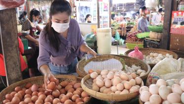 punish-egg-market.jpg