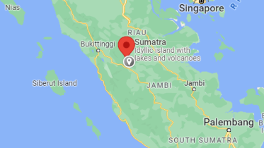 sumatra.png