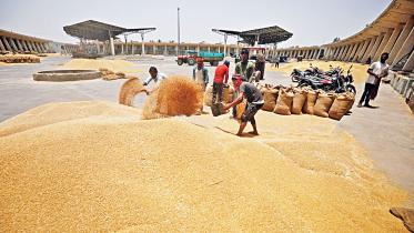 india-restricts-wheat-flour.jpg