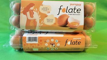 folate_egg.jpeg