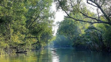 sundarbans-1_1.jpg