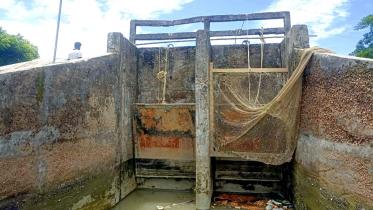 rangabali-upazila.jpg