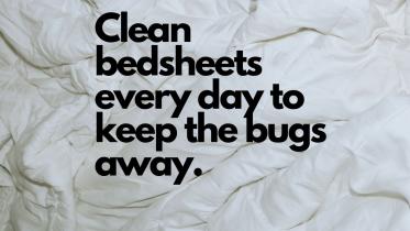 Health Hazards of not changing bedsheets everyday