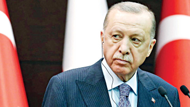 turkey-seo.jpg