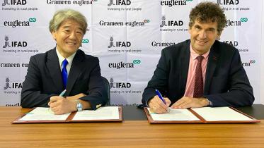 ifad.jpg