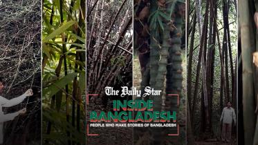 inside-bd-thumbnai-web.jpg