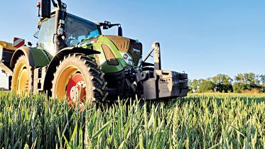 nitrogen-fertiliser.jpg