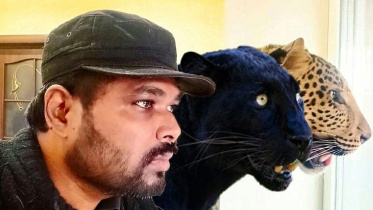 panther_jaguar.jpg