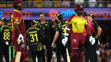 starc.jpg