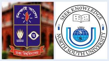 du-nsu_collage.png