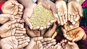 Global Hunger Index 