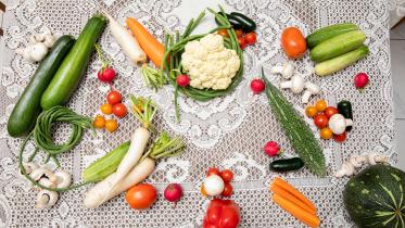 healthy diet plans