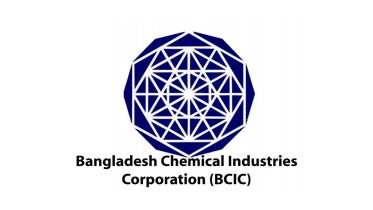 bcic.jpg