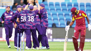cricket.jpg