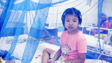 dengue-mosquito-net.jpg