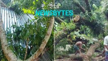 barishal_cyclone_sitrang_web.jpg