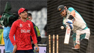 buttler_and_finch.jpg