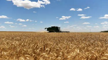 global-wheat-prices.jpg