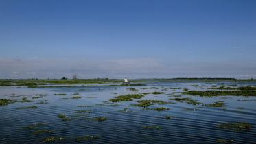Scenic photo of a haor