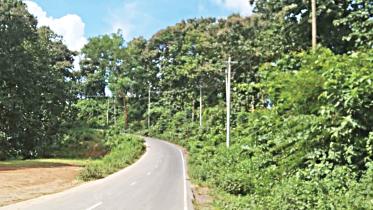 reserve forest