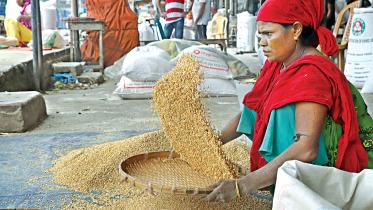 wheat-prices-fall.jpg