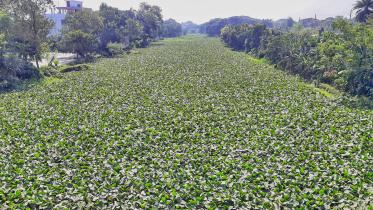 mayur-river-1.jpg