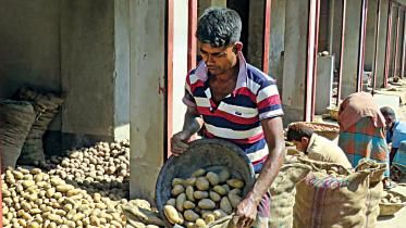 potato-farmers-1.jpg