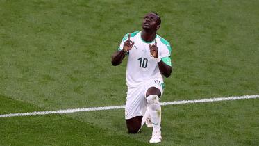 mane.jpg