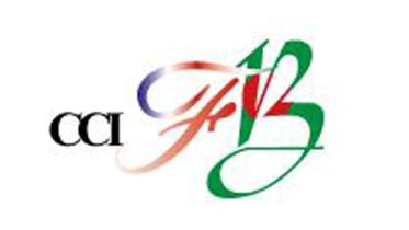 ccifb-logo.jpg