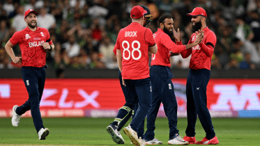 adil-rashid.gif