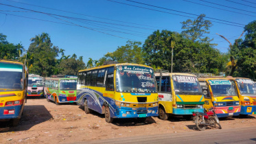 bus-1.jpg