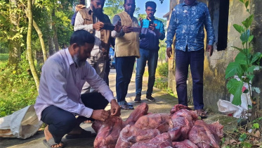 barguna_venison_photo_collected.jpg