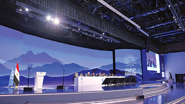 cop27.jpg