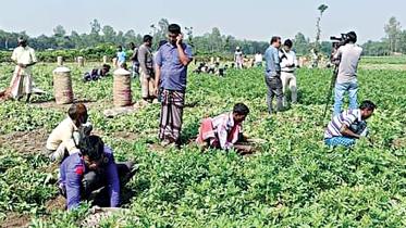 fresh-potato-prices.jpg