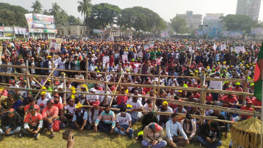 bnp_rally.png