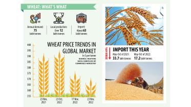 wheat-1.jpg