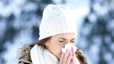 coldnoses.jpg