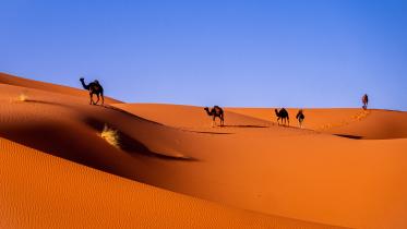 Top 5 places to visit in Morocco
