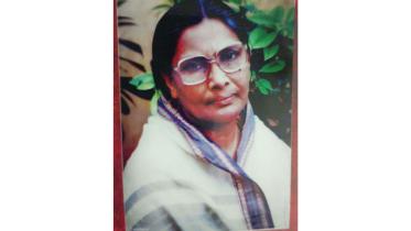 dilara-begum-parul.jpg